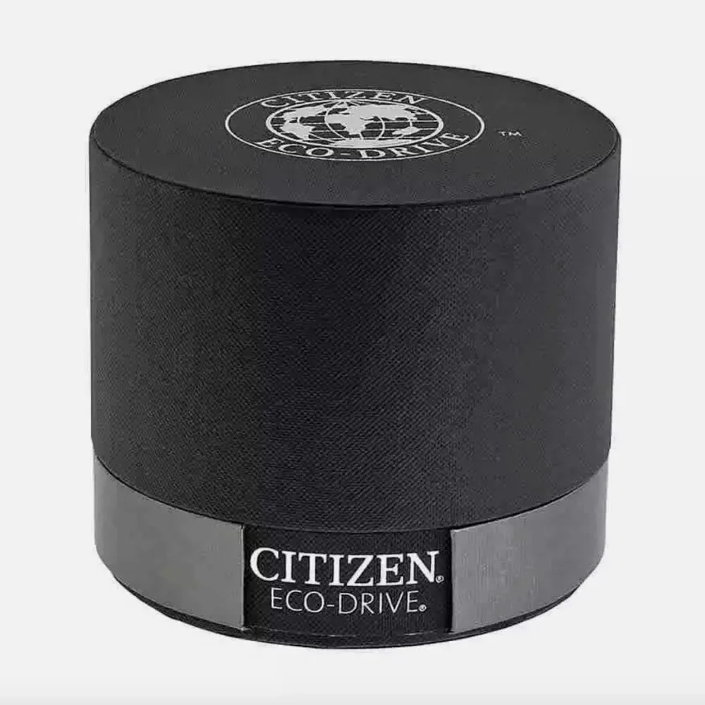 Citizen Strap Eco-Drive Day-Date Men's Watch